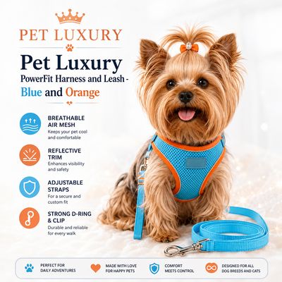 Pet Luxury PowerFit Harness and Leash - Blue and Orange