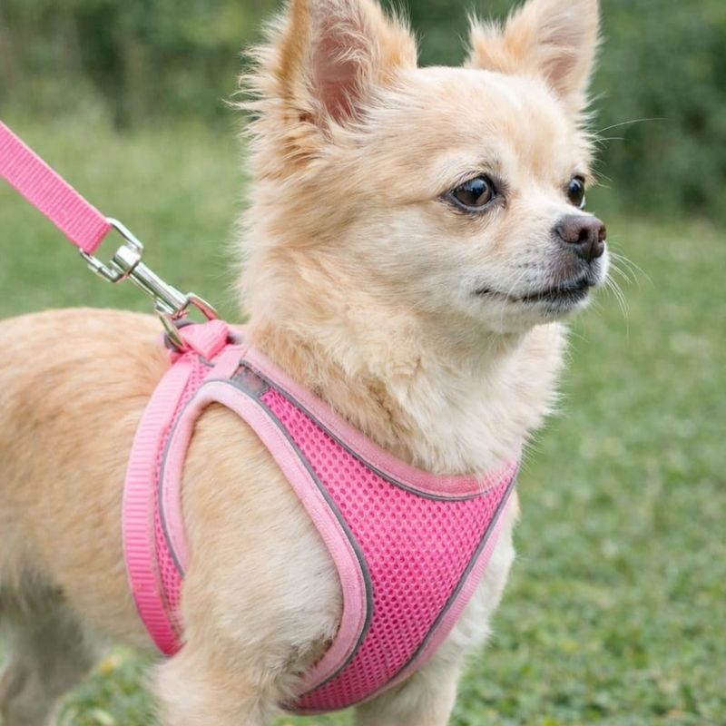 Pet Luxury PowerFit Harness and Leash-Pink Pet Luxury PowerFit Harness and Leash-Pink