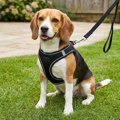 Pet Luxury PowerFit Harness and Leash-Black