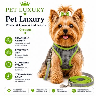 Pet Luxury PowerFit Harness and Leash - Green Pet Luxury PowerFit Harness and Leash - Green