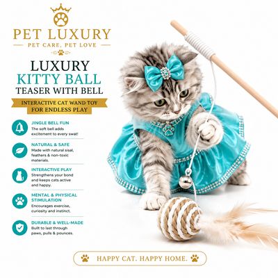 Luxury Kitty Ball Teaser with Bell