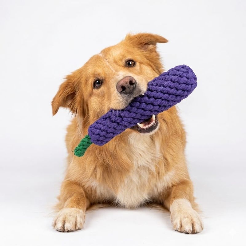 Luxury Eggplant Rope Chew Toy