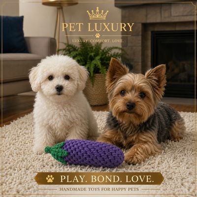 Pet Luxury Eggplant Durable Chew Rope