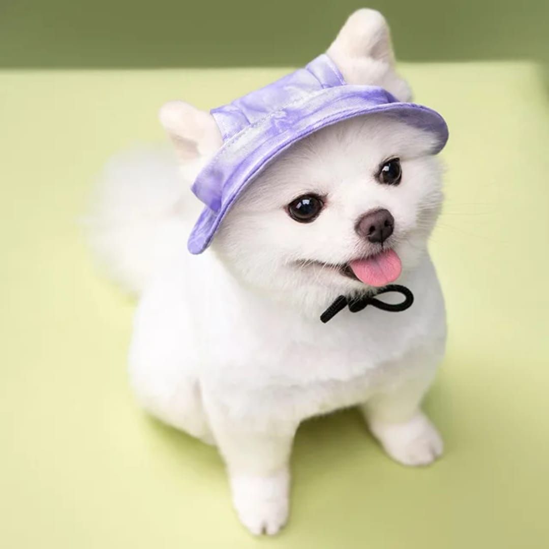 Pet Luxury Purple Dog Or Cat Bucket Hat Cap