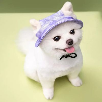 Pet Luxury Purple Dog Or Cat Bucket Hat Cap