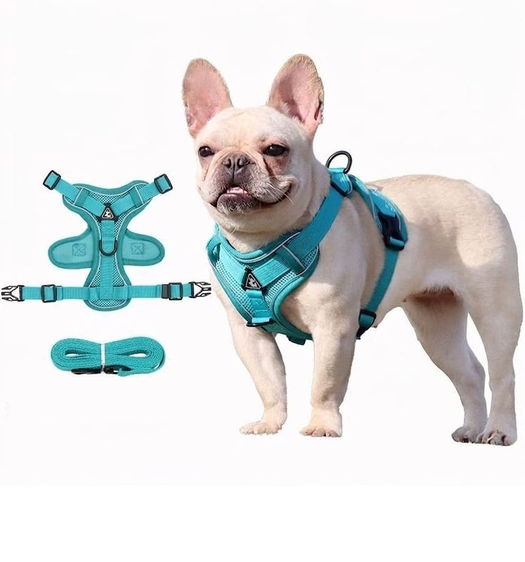Pet Luxury Elegant Blue Cat and Dog Harness and Leash Pet Luxury Elegant Blue Cat and Dog Harness and Leash