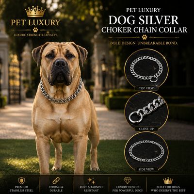 Pet Luxury Dog Silver Choker Chain Collar