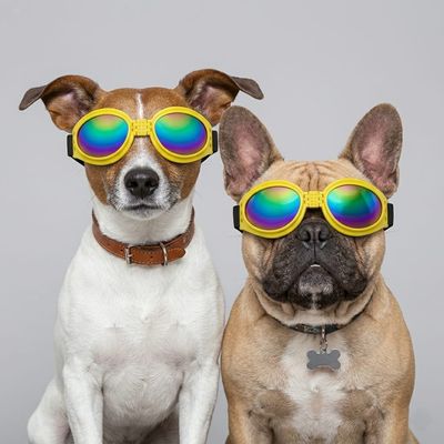 Pet Luxury Yellow Dog Glasses Pet Luxury Yellow Dog Glasses