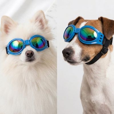 Pet Luxury Blue Dog Glasses