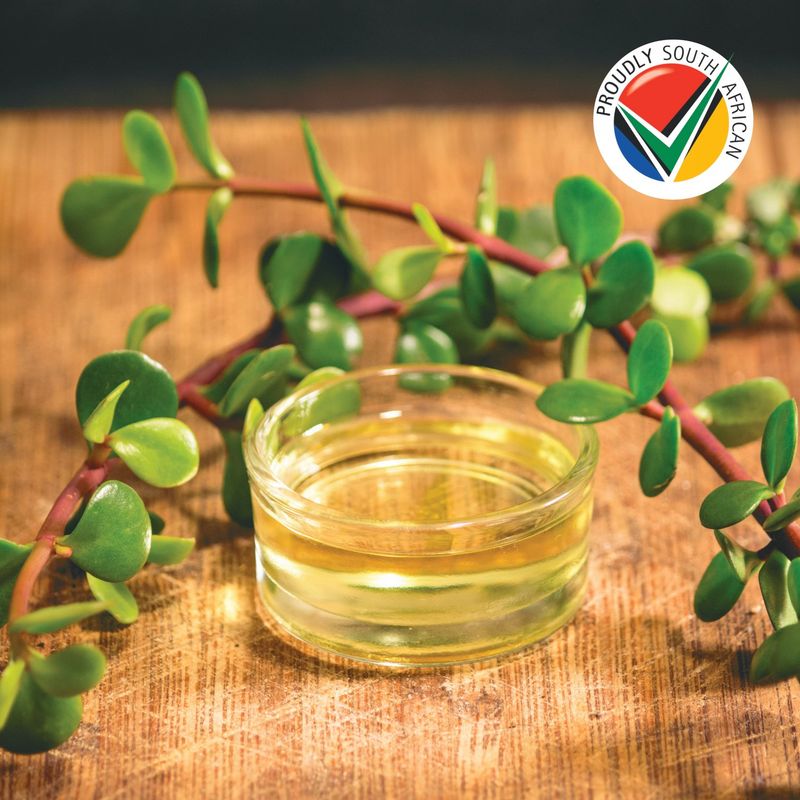 Buchu Anti-Inflammatory Moisturising Oil – 150ml from Pet Luxury
