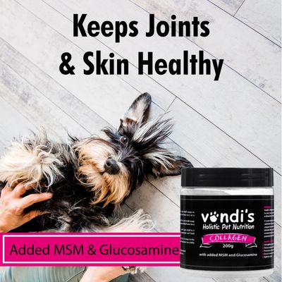 Vendi’s Collagen with MSM & Glucosamine (200g) from Pet Luxury