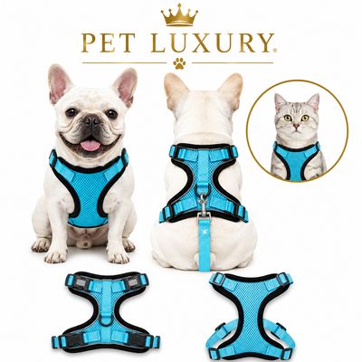 Pet Luxury Urban Blue Paws Harness