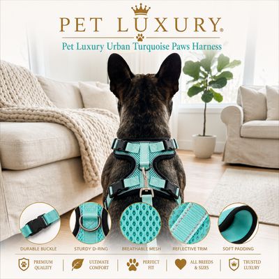 Pet Luxury Urban Turquoise Paws Harness Pet Luxury Urban Turquoise Paws Harness