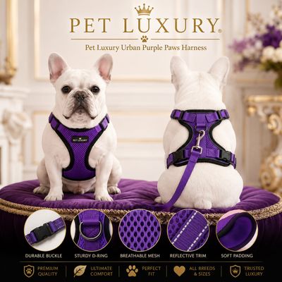 Pet Luxury Urban Purple Paws Harness