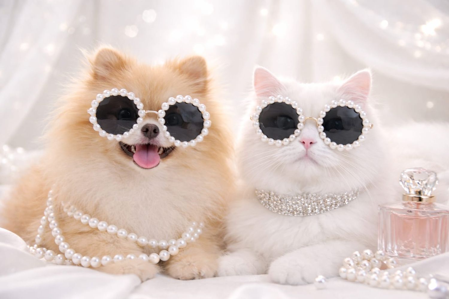 ​Pet Luxury Dog And Cat Elegant Sunglasses