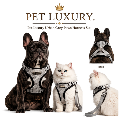 Pet Luxury Urban Grey Paws Harness