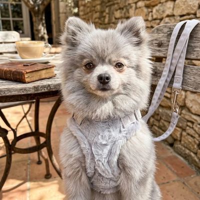 Pet Luxury CloudSoft Fuzzy Harness Set – Grey (Adjustable Velcro Body Strap)