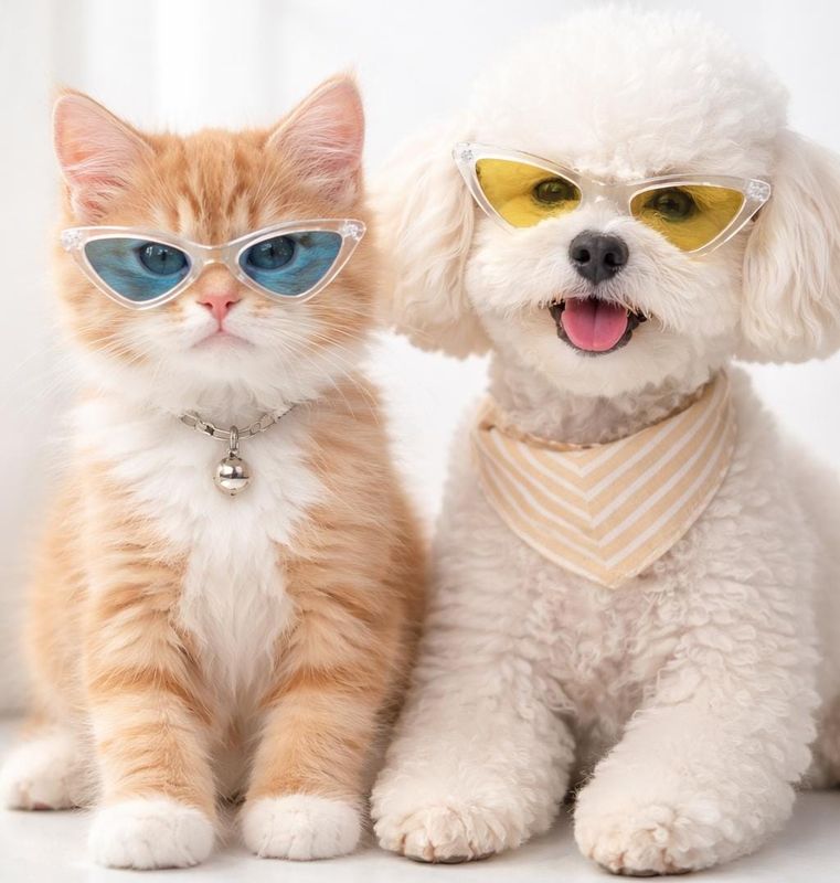 Pet Luxury Adorable Sun Glasses