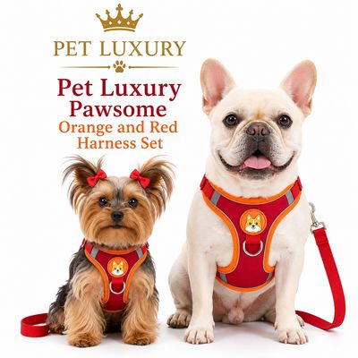 Pet Luxury Pawsome Orange and Red Harness Set Pet Luxury Pawsome Orange and Red Harness Set