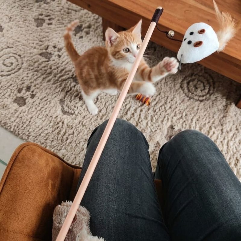 Luxury Kitty Stick Mouse Toy with Bell