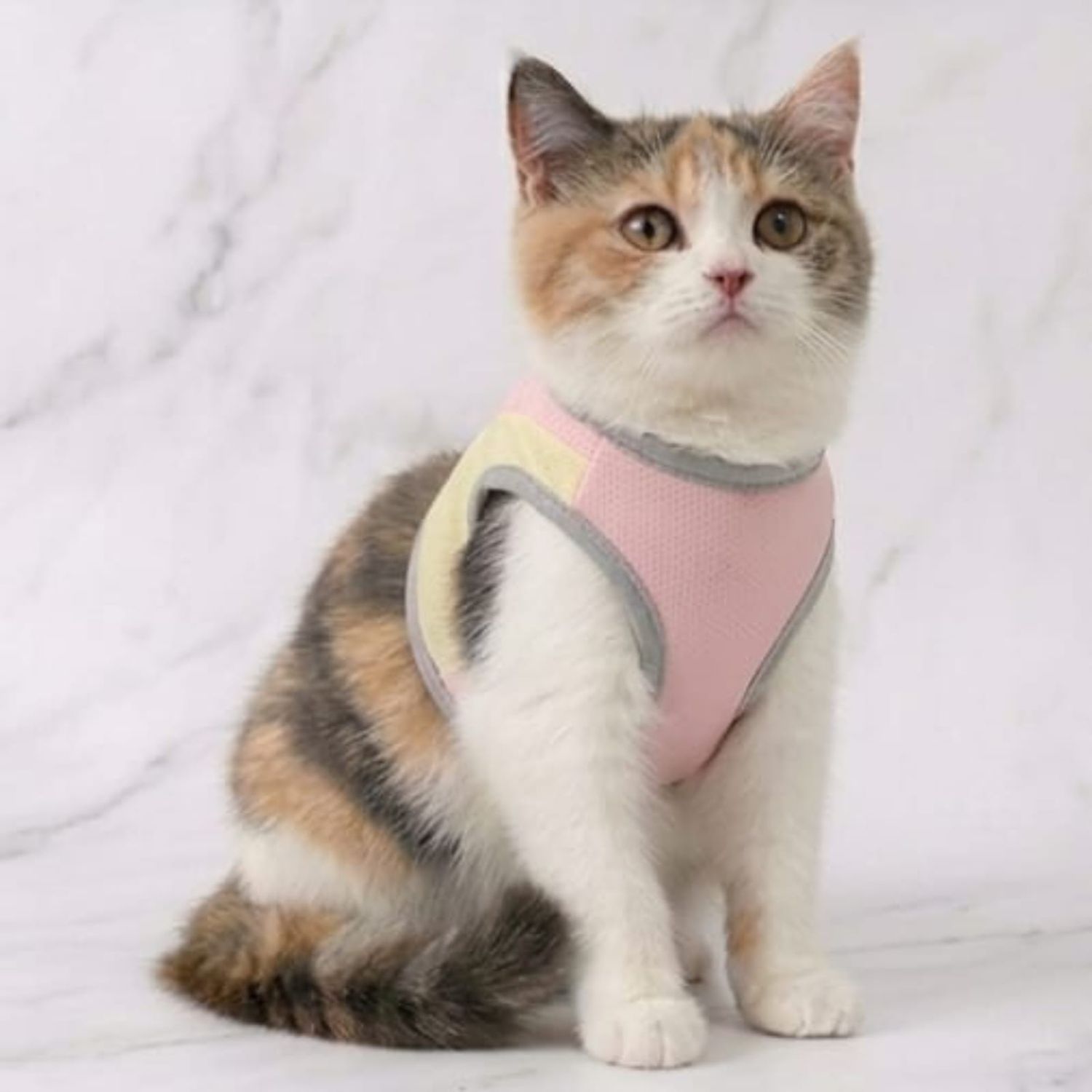 Pastel Luxury Range Cat Clothing-Pink and Yellow