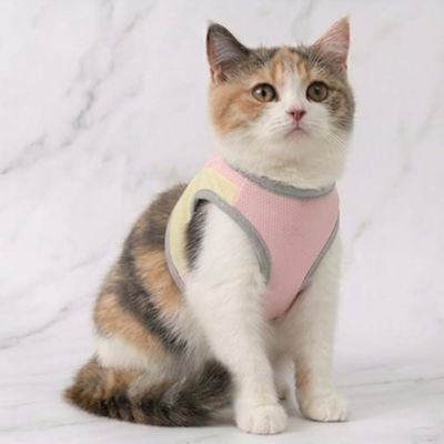 Pastel Luxury Range Cat Clothing-Pink and Yellow Pastel Luxury Range Cat Clothing-Pink and Yellow