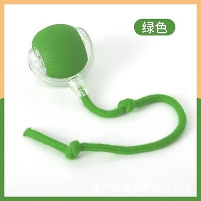 AI. LED Cat and Dog Green Ball AI. LED Cat and Dog Green Ball