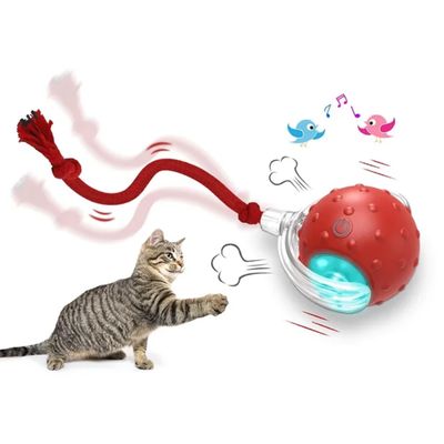 AI. LED Cat and Dog Red Ball AI. LED Cat and Dog Red Ball