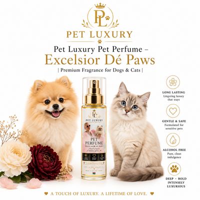 Pet Luxury Pet Perfume – Excelsior Dé Paws | Premium Fragrance for Dogs & Cats