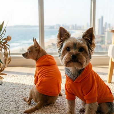 Designer Dog Hoodie Shirt - Orange