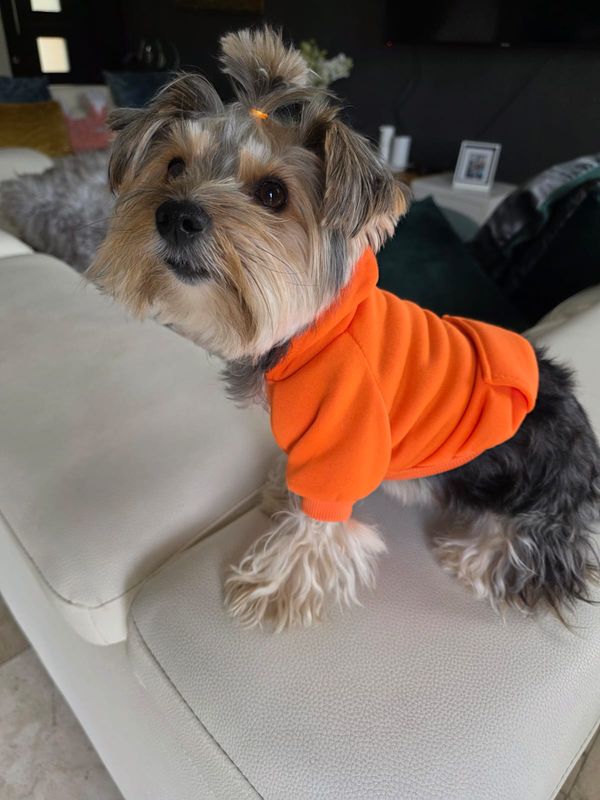 Designer Dog Hoodie Shirt - Orange Designer Dog Hoodie Shirt - Orange