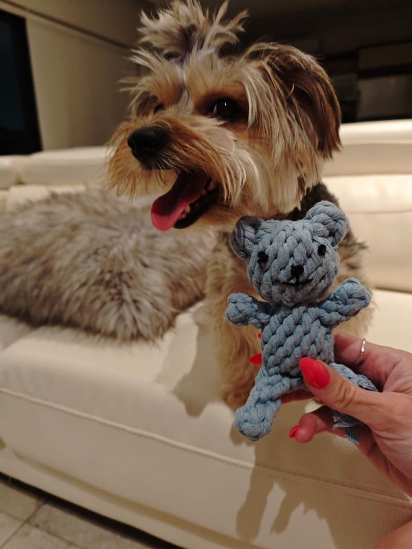 Pet Luxury™ Blue Cuddle Buddy Rope Toy