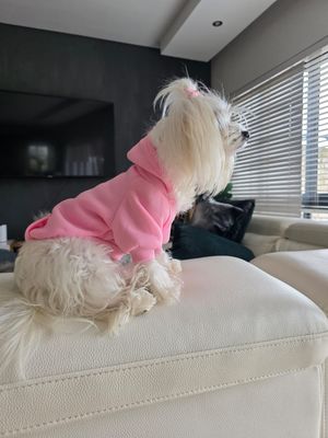 Designer Dog Hoodie Shirt - Pink