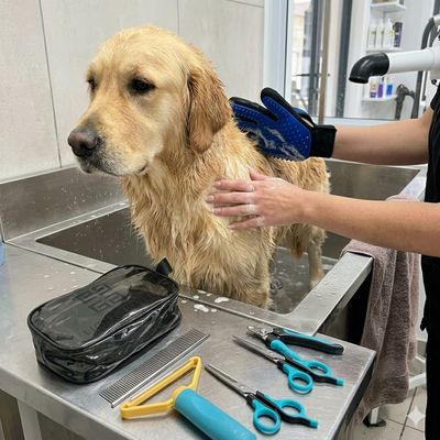 Pet Luxury Professional Grooming Kit