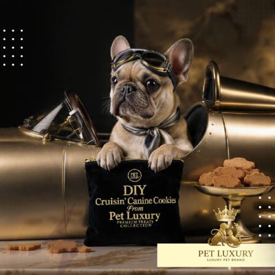 DIY Cruisin’ Canine Cookies From Pet Luxury Premium Treats Collection