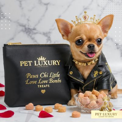 Chihuahuas Pet Luxury Paws Chi Little Love Bombs Treats