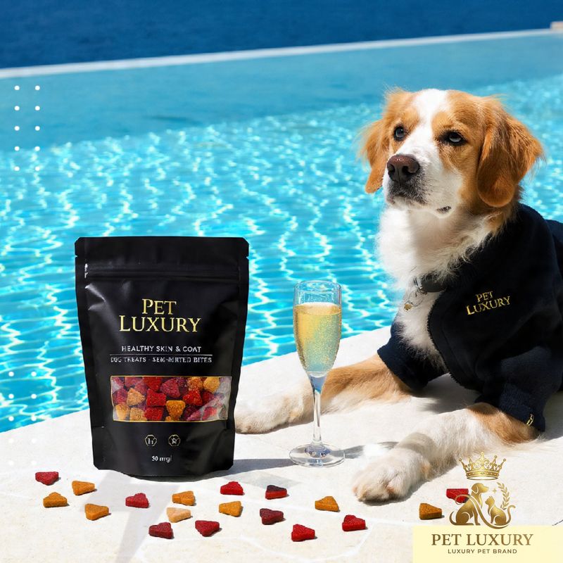 Pet Luxury Healthy Skin & Coat Dog Treats – Semi-Moist Assorted Bites ❤️
