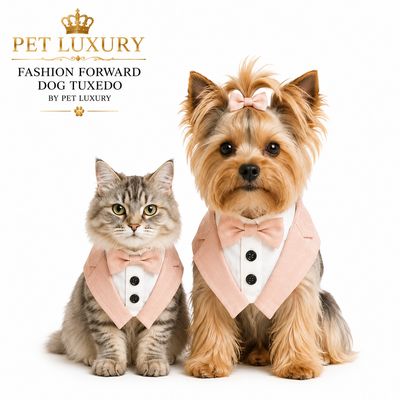 Fashion Forward Dog Tuxedo by Pet Luxury - Pink And Beige Fashion Forward Dog Tuxedo by Pet Luxury - Pink And Beige