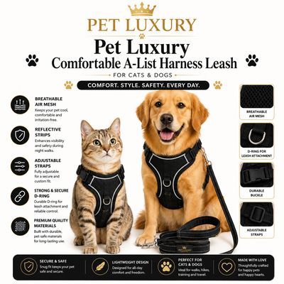 Pet Luxury A-List Comfort Harness with Zip Pocket - Black Pet Luxury A-List Comfort Harness with Zip Pocket - Black