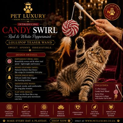 Pet Luxury Candy Swirl - Red & White Peppermint Lollipop Teaser Wand