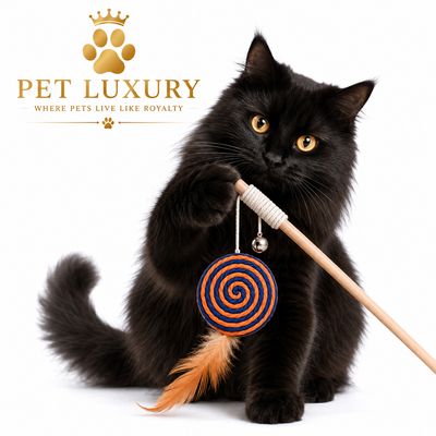 Pet Luxury Lollipop Swirl - Blue & Orange Spiral Feather Teaser Wand Pet Luxury Lollipop Swirl - Blue & Orange Spiral Feather Teaser Wand