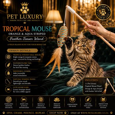 Pet Luxury Tropical Mouse - Orange & Aqua Striped Feather Teaser Wand