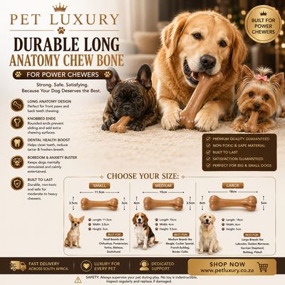 Durable Long Anatomy Dog Chew Bone - For Power Chewers