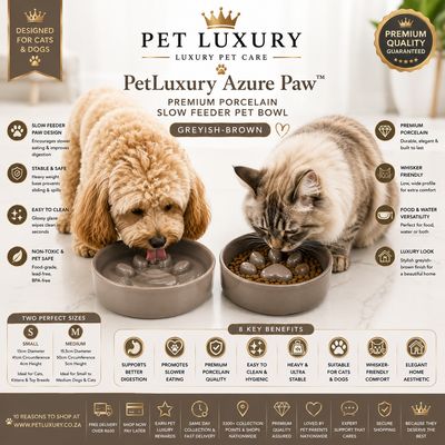 PetLuxury Azure Paw™ Premium Porcelain Slow Feeder Pet Bowl – Greyish-Brown
