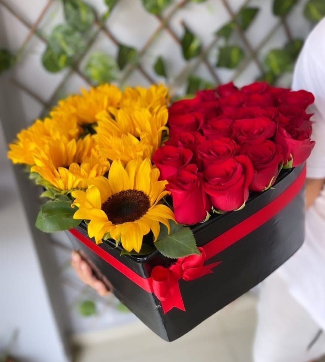 Jirasoles y rosas