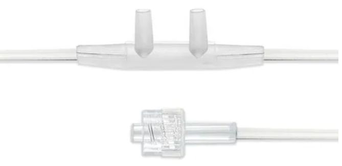 2ft Cannula w Male Luer Box/100