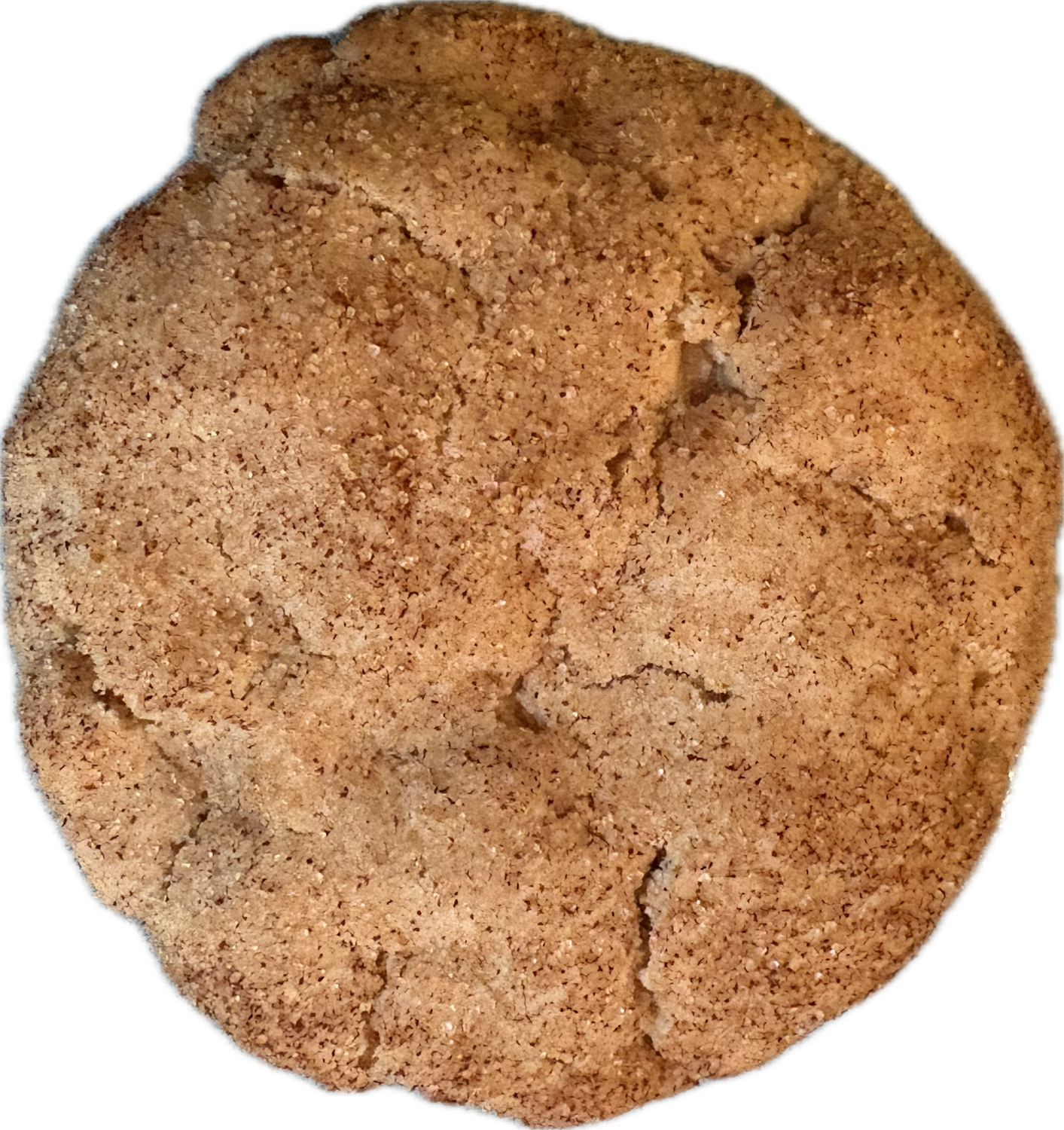 Snickerdoodle Cookie