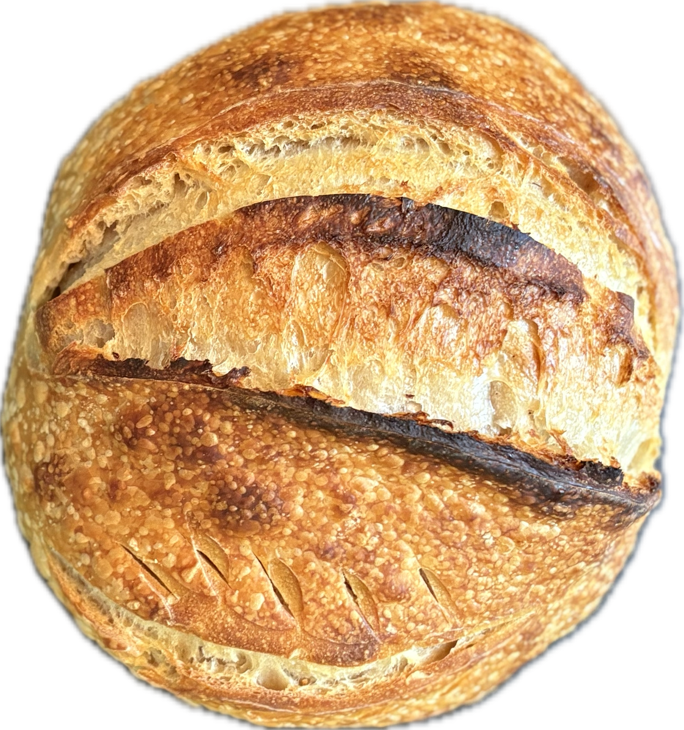 Artisan Boule