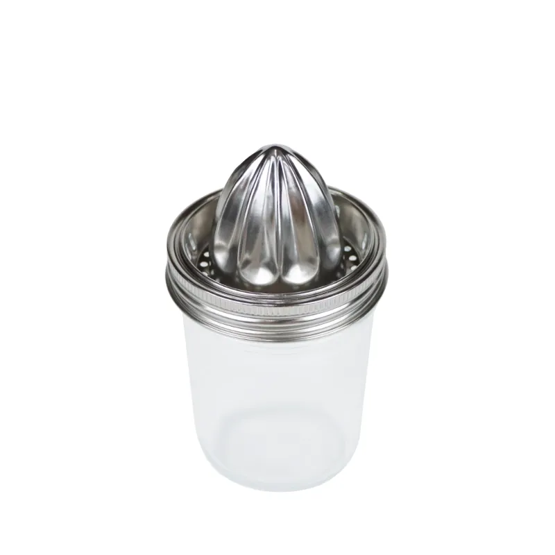 Stainless Steel Juicer - Wide Mouth