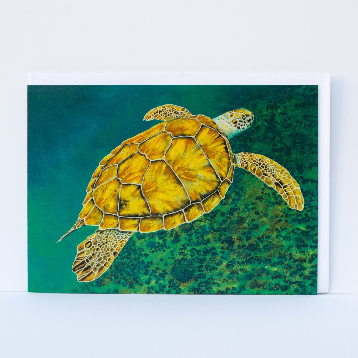 Myrtle the Turtle - Greetings Card Pack (x6)